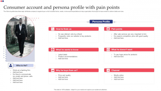 Consumer Account And Persona Profile With Pain Points Background PDF