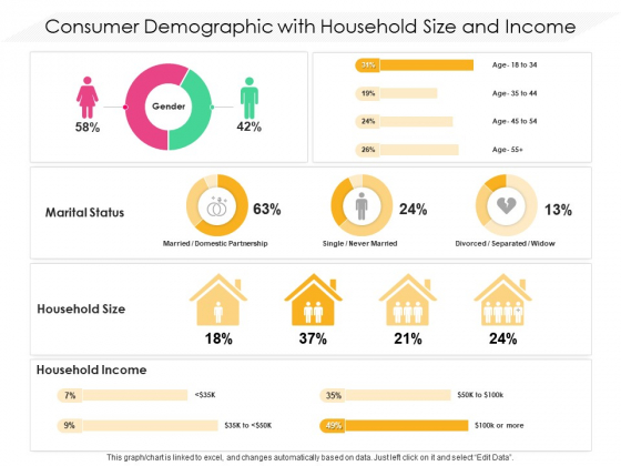 Consumer Demographic With Household Size And Income Ppt PowerPoint Presentation Icon Gallery PDF