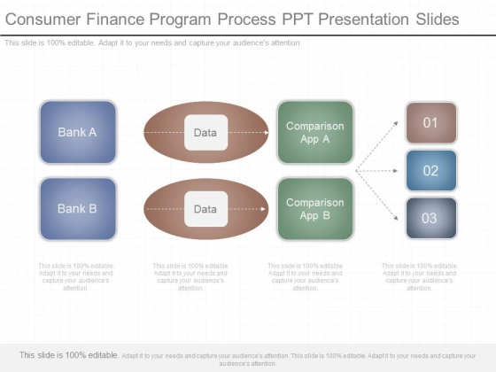 Consumer Finance Program Process Ppt Presentation Slides Consumer Finance Program Process Ppt Presentation Slides