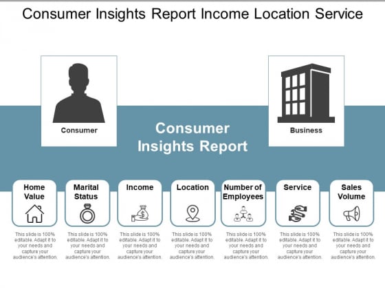 Consumer Insights Report Income Location Service Ppt PowerPoint Presentation Styles Layout Ideas