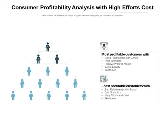 Consumer Profitability Analysis With High Efforts Cost Ppt PowerPoint Presentation Summary Infographics