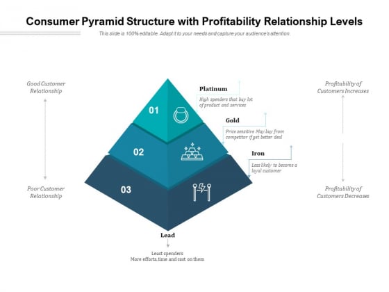 Consumer Pyramid Structure With Profitability Relationship Levels Ppt PowerPoint Presentation Show Graphics Consumer Pyramid Structure With Profitability Relationship Levels Ppt PowerPoint Presentation Show Graphics