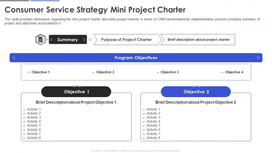 Consumer Service Strategy Mini Project Charter Inspiration PDF