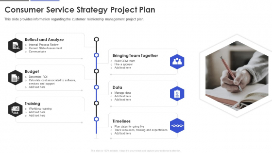 Consumer Service Strategy Project Plan Background PDF