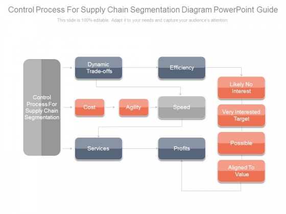 Control Process For Supply Chain Segmentation Diagram Powerpoint Guide