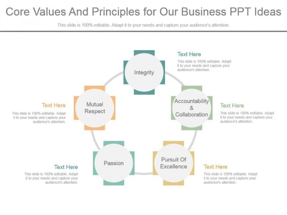 Core Values And Principles For Our Business Ppt Ideas Core Values And Principles For Our Business Ppt Ideas