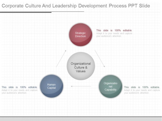 Corporate Culture And Leadership Development Process Ppt Slide
