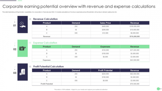 Corporate Earning Potential Overview With Revenue And Expense Calculations Brochure PDF