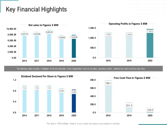 Corporate Execution And Financial Liability Report Key Financial Highlights Infographics PDF