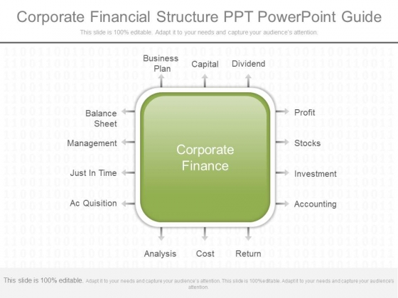 Corporate Financial Structure Ppt Powerpoint Guide Corporate Financial Structure Ppt Powerpoint Guide