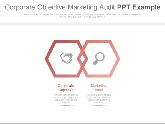 Corporate Objective Marketing Audit Ppt Example