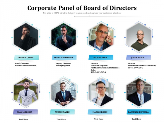Corporate Panel Of Board Of Directors Ppt PowerPoint Presentation File Background Image PDF