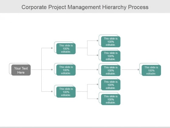 Corporate Project Management Hierarchy Process Ppt PowerPoint Presentation Show Corporate Project Management Hierarchy Process Ppt PowerPoint Presentation Show