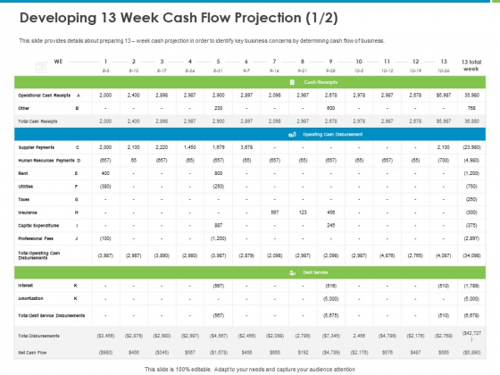 Corporate Turnaround Strategies Developing 13 Week Cash Flow Projection Icons PDF Corporate Turnaround Strategies Developing 13 Week Cash Flow Projection Icons PDF