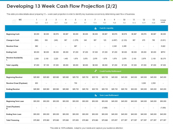 Corporate Turnaround Strategies Developing 13 Week Cash Flow Projection Liquidity Portrait PDF