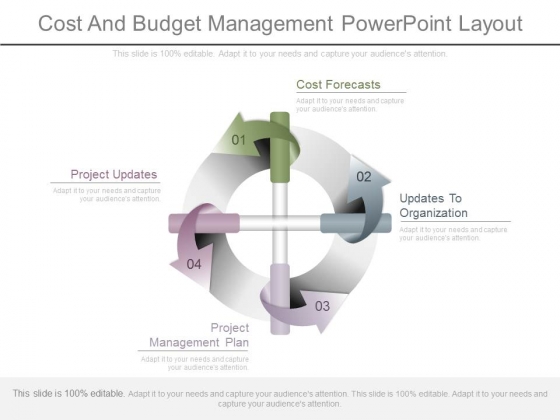 Cost And Budget Management Powerpoint Layout