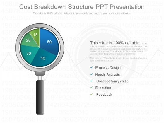 Cost Breakdown Structure Ppt Presentation