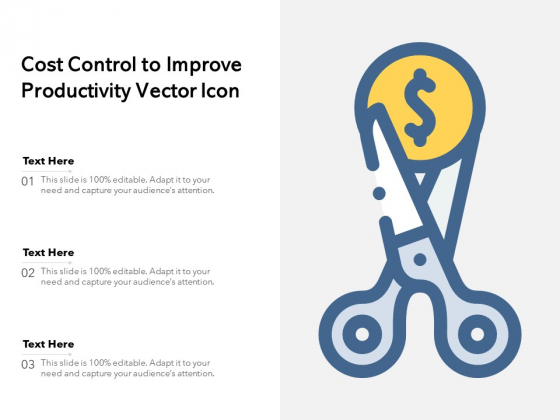 Cost Control To Improve Productivity Vector Icon Ppt PowerPoint Presentation Gallery Portfolio PDF