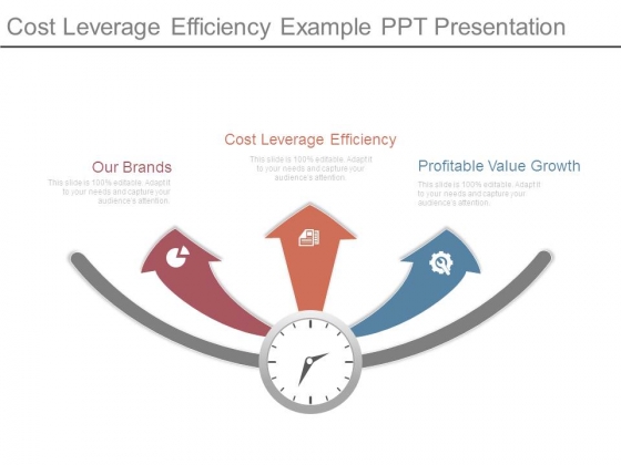 Cost Leverage Efficiency Example Ppt Presentation Cost Leverage Efficiency Example Ppt Presentation