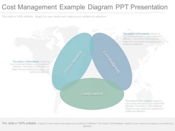 Cost Management Example Diagram Ppt Presentation