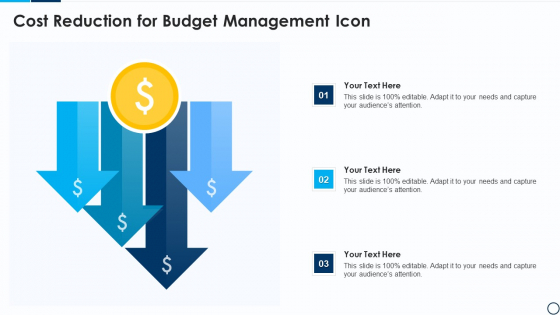 Cost Reduction For Budget Management Icon Demonstration PDF
