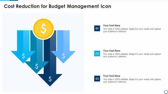 Cost Reduction For Budget Management Icon Demonstration PDF Cost Reduction For Budget Management Icon Demonstration PDF