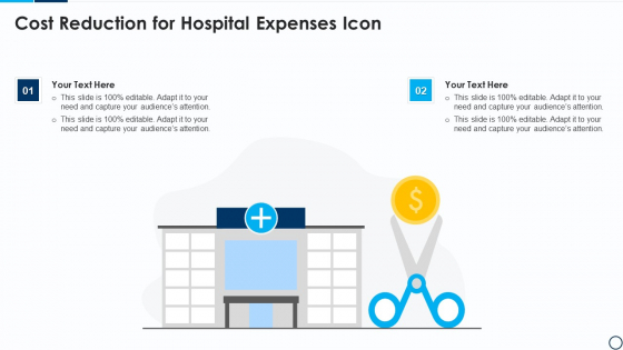 Cost Reduction For Hospital Expenses Icon Rules PDF