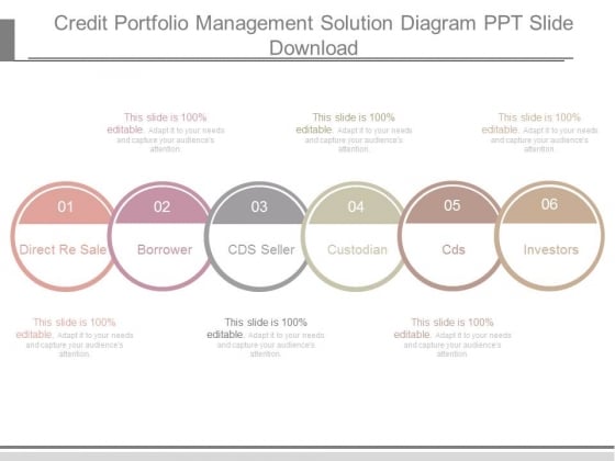 credit portfolio management solution diagram ppt slide download