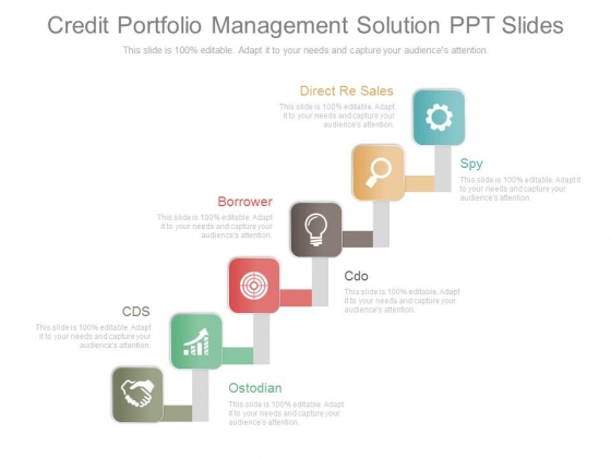 Credit Portfolio Management Solution Ppt Slides Credit Portfolio Management Solution Ppt Slides