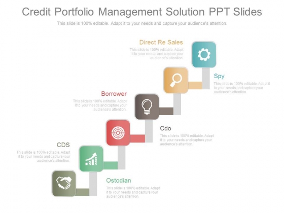 Credit Portfolio Management Solution Ppt Slides Powerpoint Templates