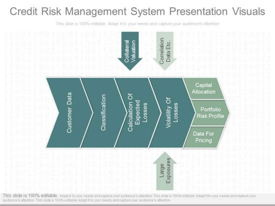 Credit Risk Management System Presentation Visuals Credit Risk Management System Presentation Visuals