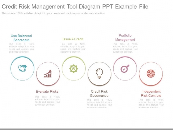 Credit Risk Management Tool Diagram Ppt Example File