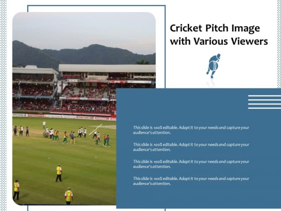 Cricket Pitch Image With Various Viewers Ppt PowerPoint Presentation Gallery Vector PDF Cricket Pitch Image With Various Viewers Ppt PowerPoint Presentation Gallery Vector PDF