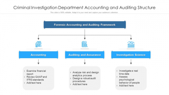 Criminal Investigation Department Accounting And Auditing Structure Ppt PowerPoint Presentation File Picture PDF Criminal Investigation Department Accounting And Auditing Structure Ppt PowerPoint Presentation File Picture PDF