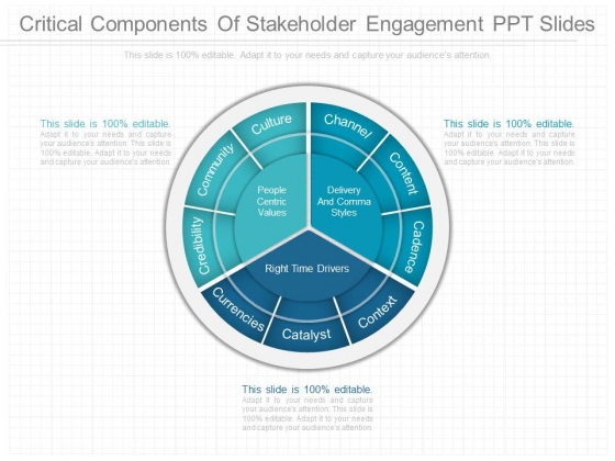 Critical Components Of Stakeholder Engagement Ppt Slides Critical Components Of Stakeholder Engagement Ppt Slides