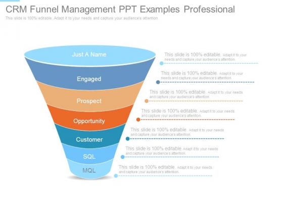 Crm Funnel Management Ppt Examples Professional Crm Funnel Management Ppt Examples Professional