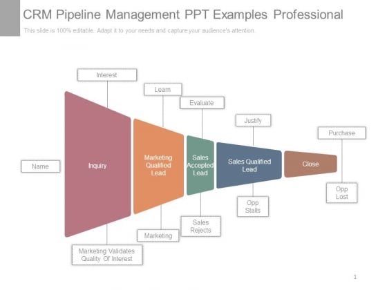 Crm Pipeline Management Ppt Examples Professional Crm Pipeline Management Ppt Examples Professional