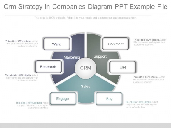 Crm Strategy In Companies Diagram Ppt Example File Crm Strategy In Companies Diagram Ppt Example File