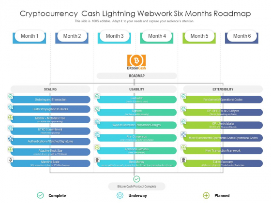 Cryptocurrency Cash Lightning Webwork Six Months Roadmap Portrait Cryptocurrency Cash Lightning Webwork Six Months Roadmap Portrait