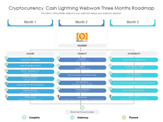 Cryptocurrency Cash Lightning Webwork Three Months Roadmap Brochure