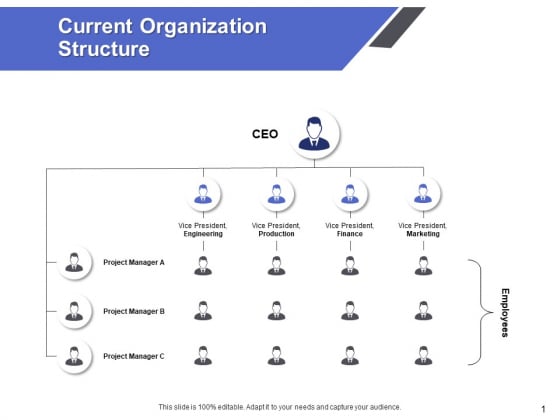 Current Organization Structure Ppt PowerPoint Presentation Model Shapes Current Organization Structure Ppt PowerPoint Presentation Model Shapes