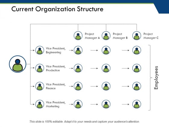 Current Organization Structure Ppt PowerPoint Presentation Show Vector Current Organization Structure Ppt PowerPoint Presentation Show Vector