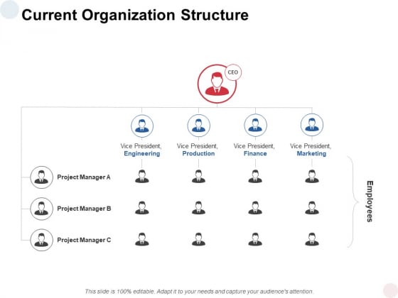 Current Organization Structure Ppt PowerPoint Presentation Styles Model Current Organization Structure Ppt PowerPoint Presentation Styles Model