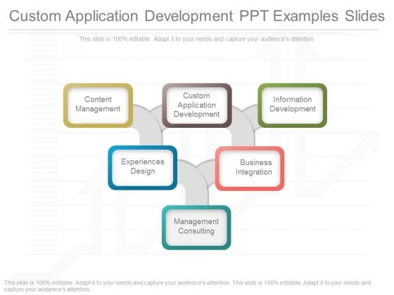 Custom Application Development Ppt Examples Slides Custom Application Development Ppt Examples Slides