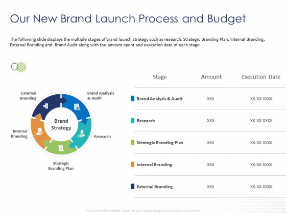 Customer 360 Overview Our New Brand Launch Process And Budget Ppt Icon Files PDF