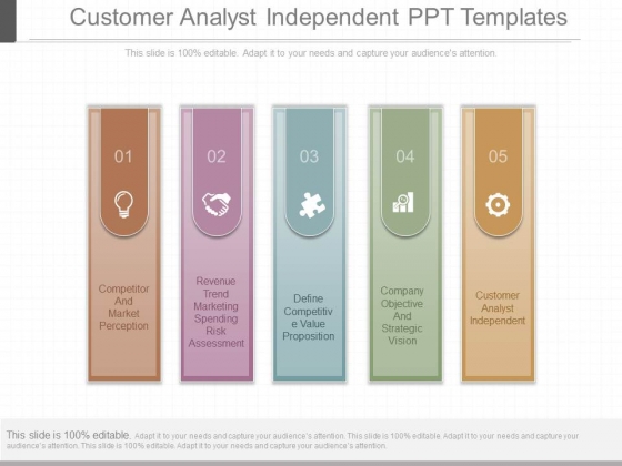 Customer Analyst Independent Ppt Templates