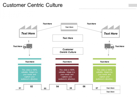 Customer Centric Culture Ppt PowerPoint Presentation Layouts Styles Cpb