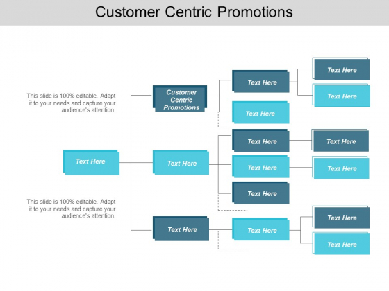 Customer Centric Promotions Ppt PowerPoint Presentation Slides Model Cpb