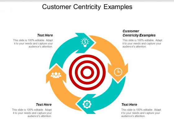 Customer Centricity Examples Ppt PowerPoint Presentation Icon Styles Cpb