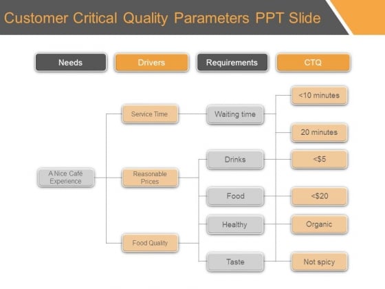 Customer Critical Quality Parameters Ppt Slide Customer Critical Quality Parameters Ppt Slide